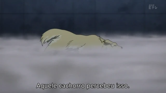 Episódio 15