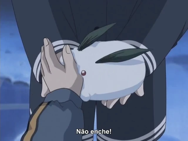 Episódio 13