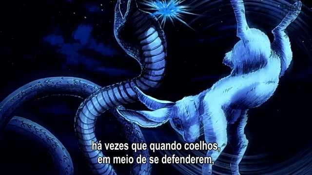 Episódio 11
