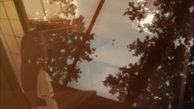 Episódio 246