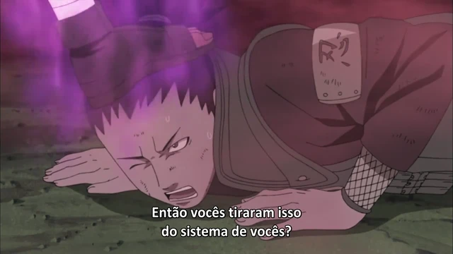Episódio 305