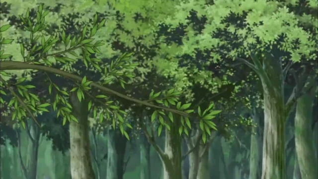 Episódio 314