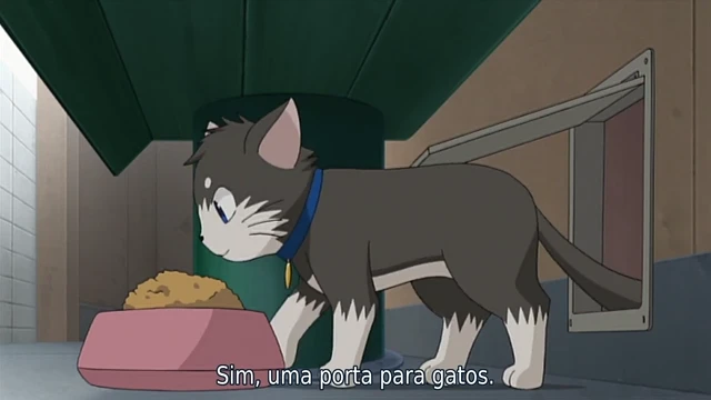 Episódio 11