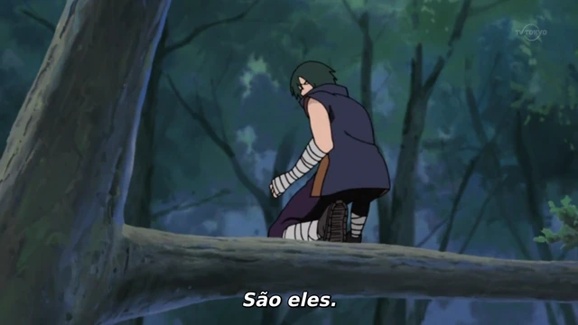 Episódio 236