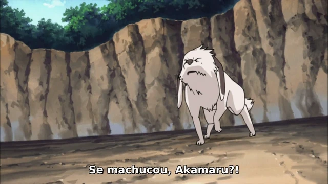Episódio 240