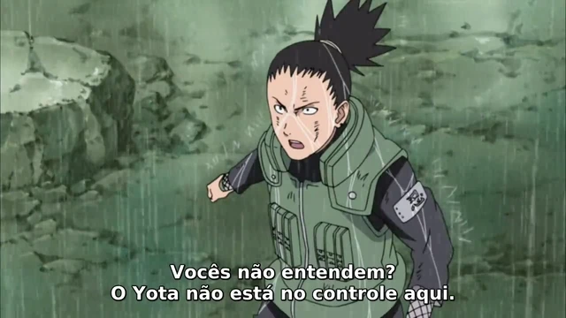 Episódio 313