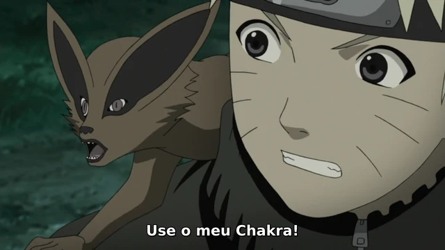 Episódio 429