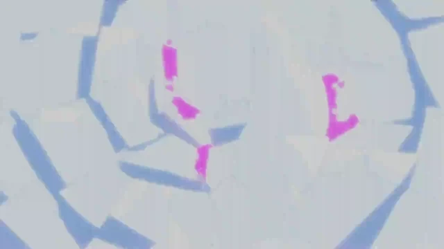 Episódio 05