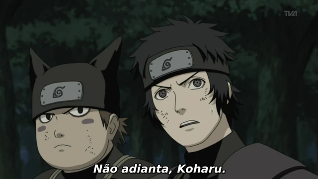 Episódio 211