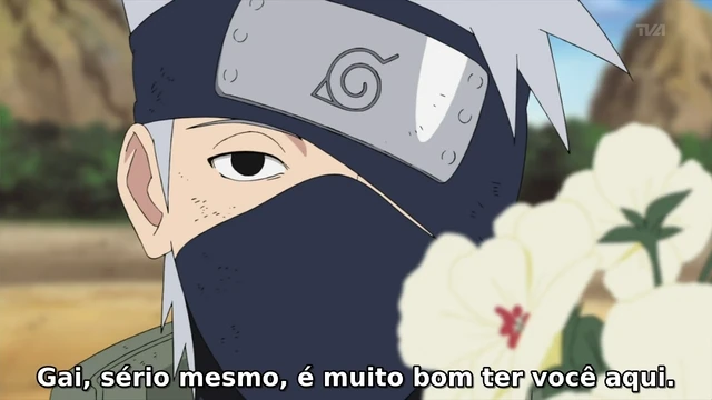 Episódio 219