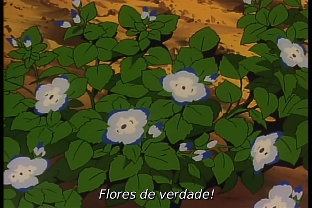 Episódio 16