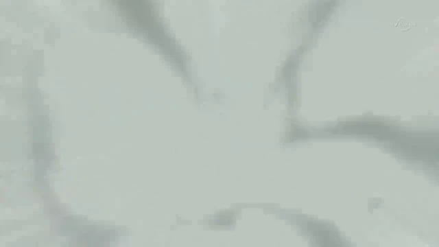 Episódio 54