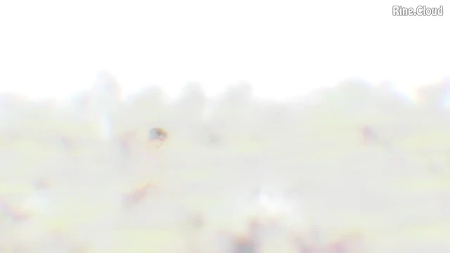 Episódio 06