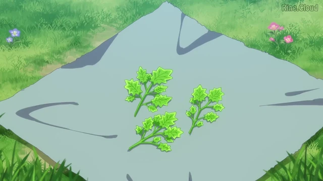 Episódio 01