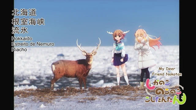 Episódio 11