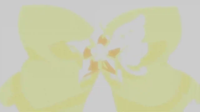 Episódio 08
