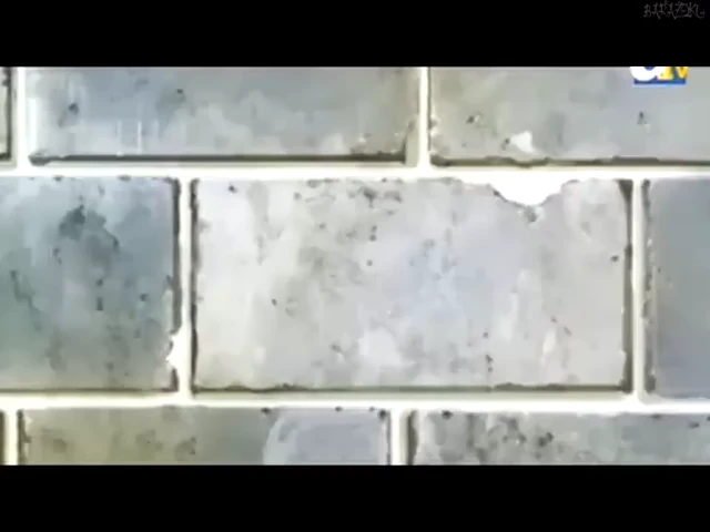 Episódio 26