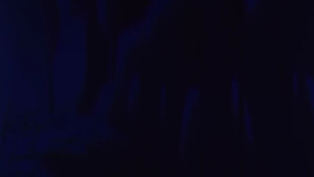 Episódio 220