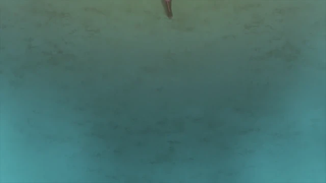 Episódio 11