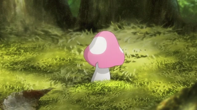 Episódio 11