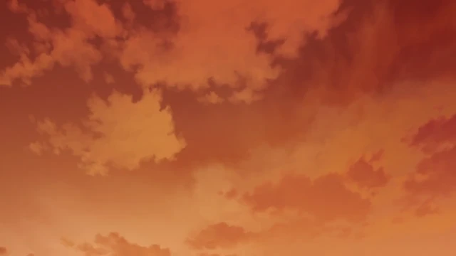 Episódio 842