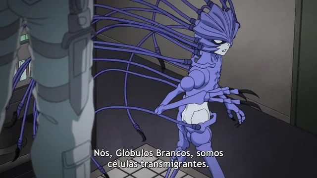 Episódio 01