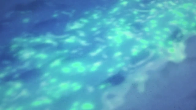Episódio 06