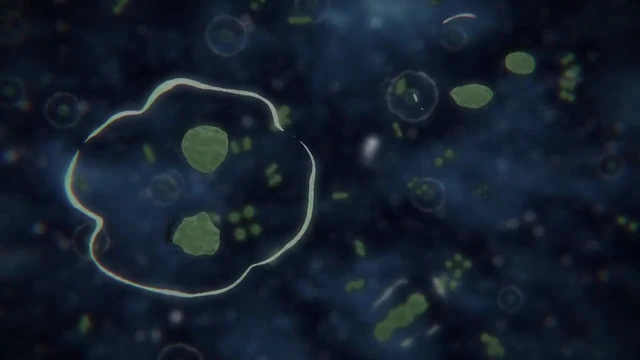 Episódio 09