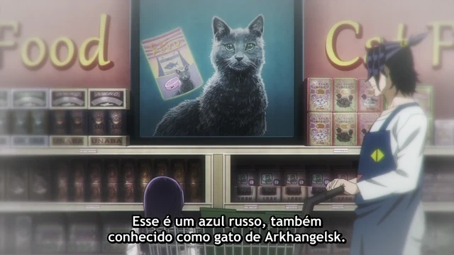 Episódio 01