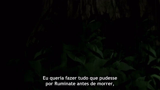 Episódio 11
