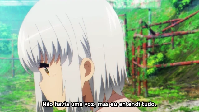 Episódio 11