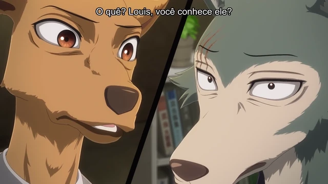 Episódio 13
