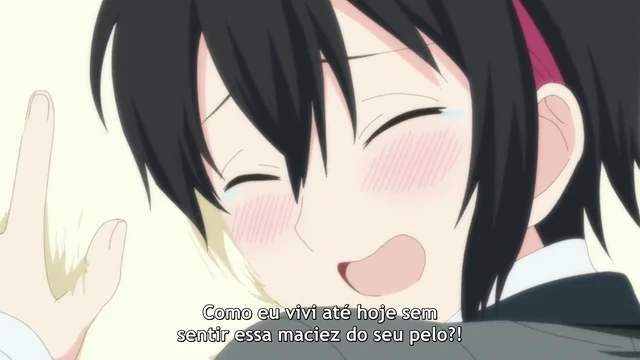 Episódio 11