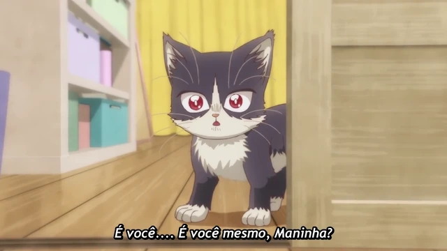 Episódio 05