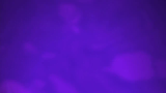 Episódio 05