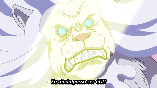 Episódio 872