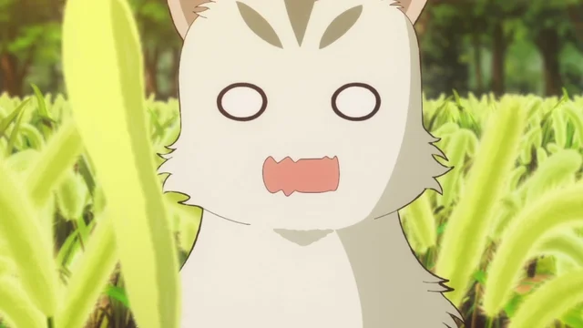 Episódio 11