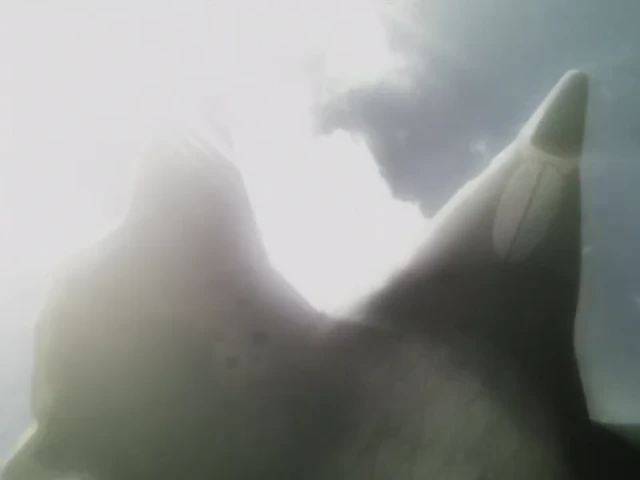 Episódio 02