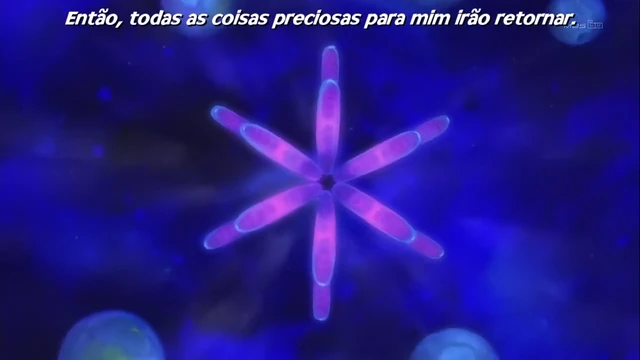 Episódio 06