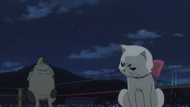 Episódio 08