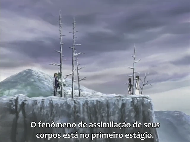 Episódio 24