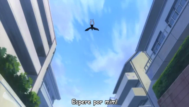 Episódio 11