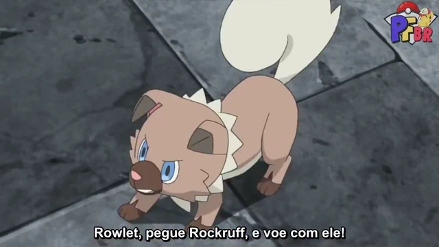 Episódio 36