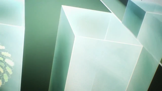 Episódio 13