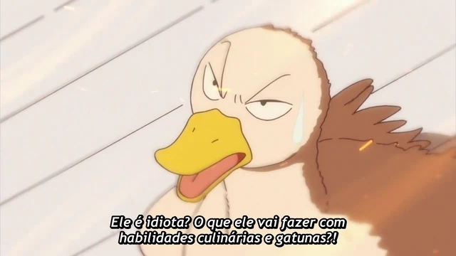 Episódio 12