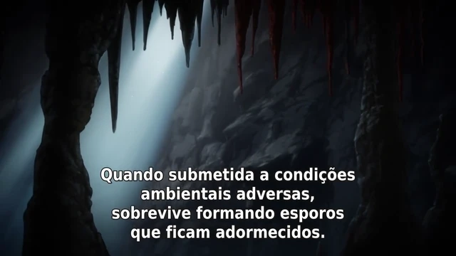 Episódio 22