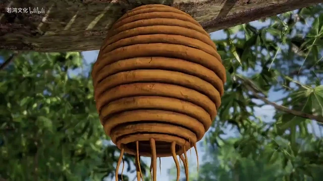 Episódio 50