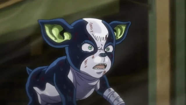 Episódio 15