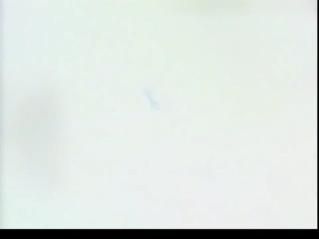 Episódio 02