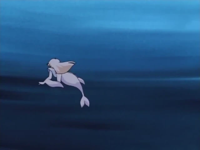 Episódio 41